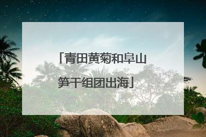 青田黄菊和阜山笋干组团出海