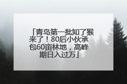 青岛第一批知了猴来了！80后小伙承包60亩林地，高峰期日入过万