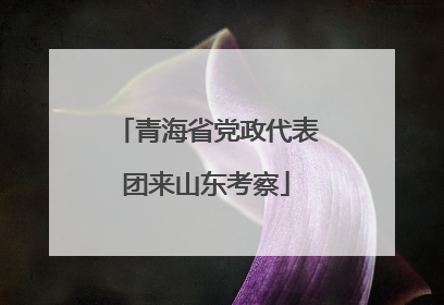 青海省党政代表团来山东考察