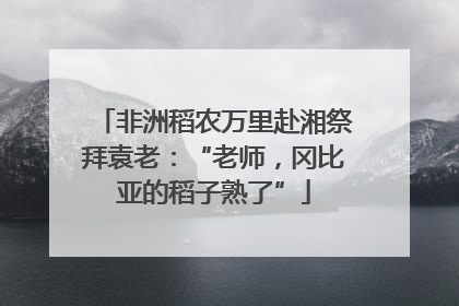 非洲稻农万里赴湘祭拜袁老：“老师，冈比亚的稻子熟了”