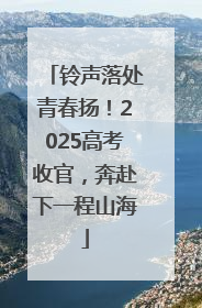 铃声落处青春扬！2025高考收官，奔赴下一程山海