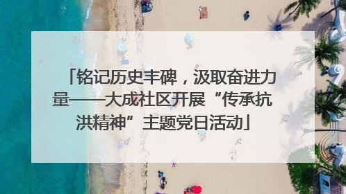 铭记历史丰碑，汲取奋进力量——大成社区开展“传承抗洪精神”主题党日活动