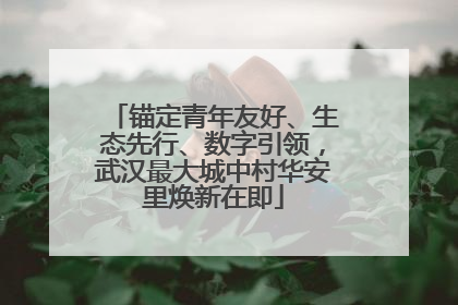 锚定青年友好、生态先行、数字引领，武汉最大城中村华安里焕新在即