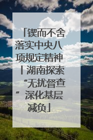 锲而不舍落实中央八项规定精神丨湖南探索“无扰督查”深化基层减负