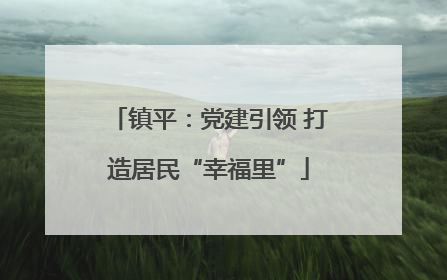 镇平：党建引领 打造居民“幸福里”
