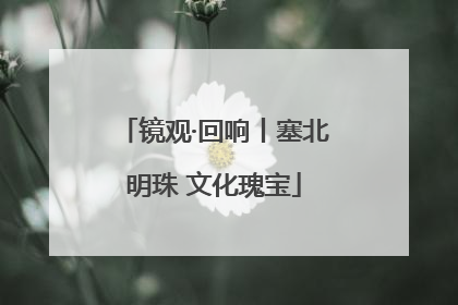 镜观·回响丨塞北明珠 文化瑰宝