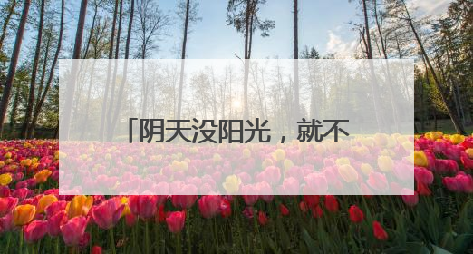 阴天没阳光，就不用防晒了……是真是假？｜谣言终结站