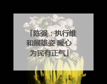 陈强：执行维和展雄姿 暖心为民有正气