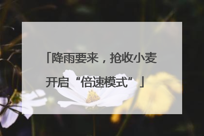 降雨要来，抢收小麦开启“倍速模式”