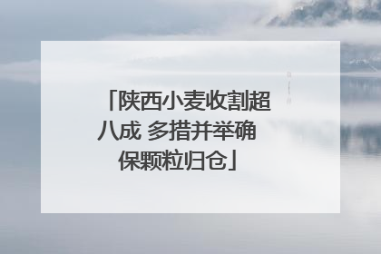陕西小麦收割超八成 多措并举确保颗粒归仓