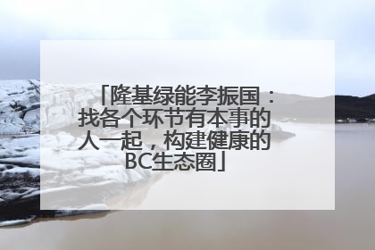 隆基绿能李振国：找各个环节有本事的人一起，构建健康的BC生态圈