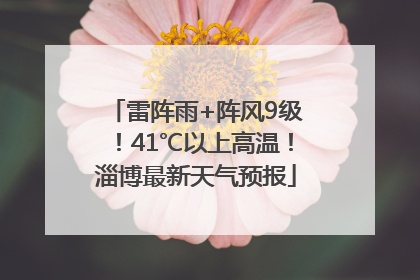 雷阵雨+阵风9级！41℃以上高温！淄博最新天气预报