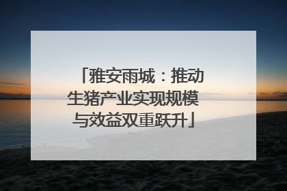 雅安雨城：推动生猪产业实现规模与效益双重跃升