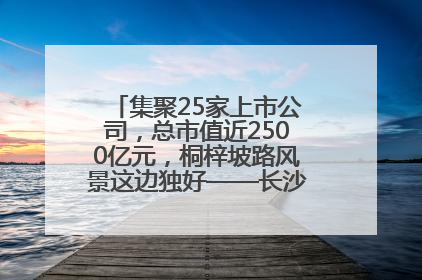 集聚25家上市公司，总市值近2500亿元，桐梓坡路风景这边独好——长沙有条“上市路”
