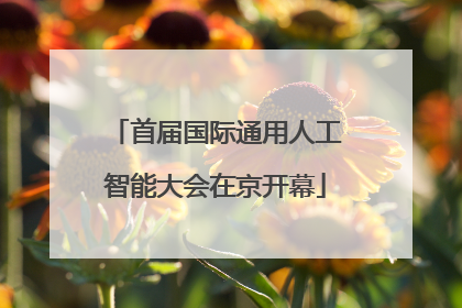 首届国际通用人工智能大会在京开幕