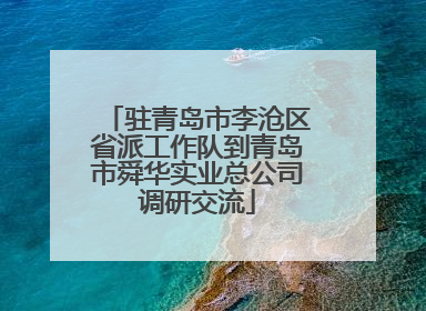 驻青岛市李沧区省派工作队到青岛市舜华实业总公司调研交流