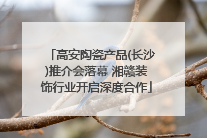 高安陶瓷产品(长沙)推介会落幕 湘赣装饰行业开启深度合作