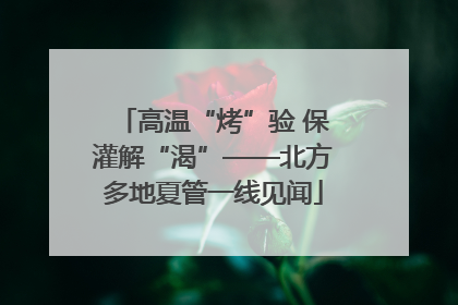 高温“烤”验 保灌解“渴”——北方多地夏管一线见闻