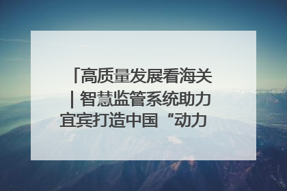 高质量发展看海关｜智慧监管系统助力宜宾打造中国“动力电池之都”