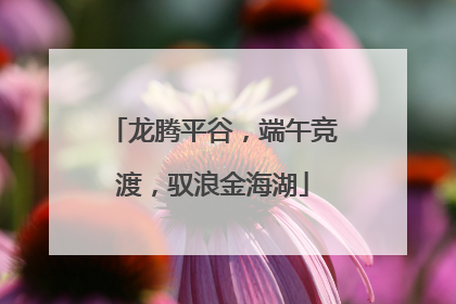 龙腾平谷，端午竞渡，驭浪金海湖
