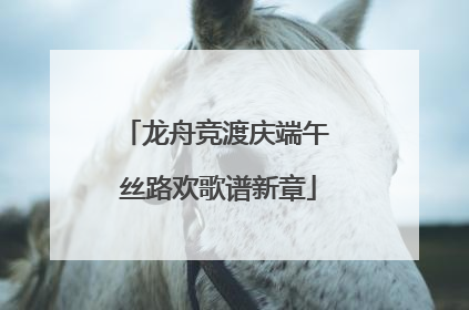 龙舟竞渡庆端午 丝路欢歌谱新章