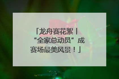龙舟赛花絮丨 “全家总动员”成赛场最美风景！