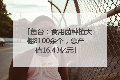 鱼台：食用菌种植大棚8100余个，总产值16.43亿元