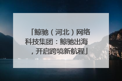 鲸驰（河北）网络科技集团：鲸驰出海，开启跨境新航程