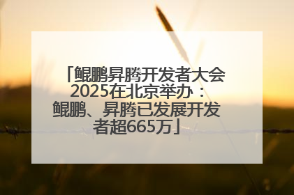 鲲鹏昇腾开发者大会2025在北京举办：鲲鹏、昇腾已发展开发者超665万