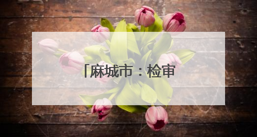 麻城市：检审协作 共筑公益保护监督防线