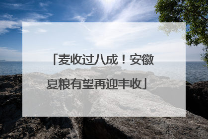 麦收过八成！安徽夏粮有望再迎丰收