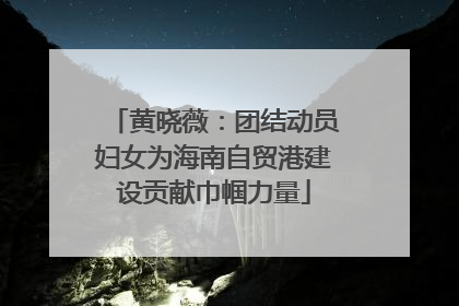 黄晓薇：团结动员妇女为海南自贸港建设贡献巾帼力量
