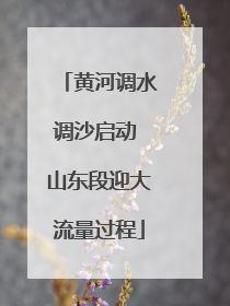 黄河调水调沙启动 山东段迎大流量过程