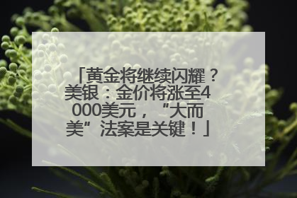 黄金将继续闪耀？美银：金价将涨至4000美元，“大而美”法案是关键！