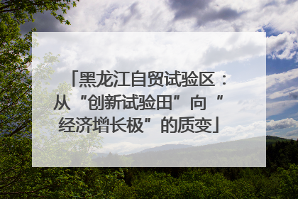 黑龙江自贸试验区：从“创新试验田”向“经济增长极”的质变