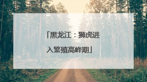 黑龙江：狮虎进入繁殖高峰期
