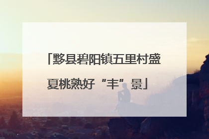 黟县碧阳镇五里村盛夏桃熟好“丰”景