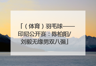 （体育）羽毛球——印尼公开赛：陈柏阳/刘毅无缘男双八强
