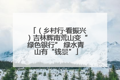 （乡村行·看振兴）吉林辉南荒山变“绿色银行” 绿水青山有“钱景”