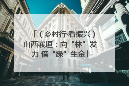 （乡村行·看振兴）山西襄垣：向“林”发力 借“绿”生金