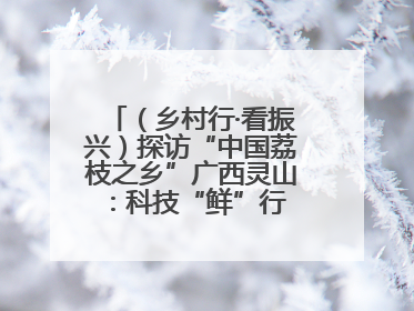 （乡村行·看振兴）探访“中国荔枝之乡”广西灵山：科技“鲜”行 实“荔”C位