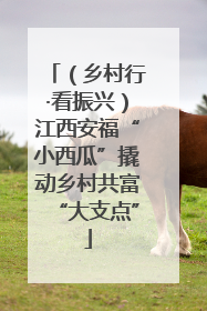 （乡村行·看振兴）江西安福“小西瓜”撬动乡村共富“大支点”