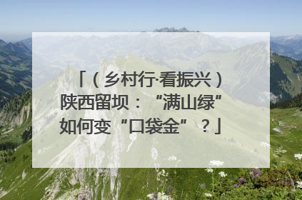 （乡村行·看振兴）陕西留坝：“满山绿”如何变“口袋金”？