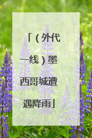 （外代一线）墨西哥城遭遇降雨