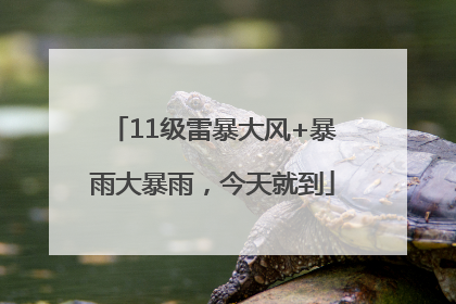 11级雷暴大风+暴雨大暴雨，今天就到