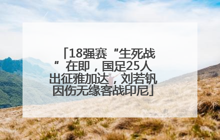 18强赛“生死战”在即，国足25人出征雅加达，刘若钒因伤无缘客战印尼