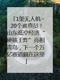 1架无人机=20个巡查员！山东低空经济“硬核王炸”亮相青岛，下一个万亿赛道藏在这里