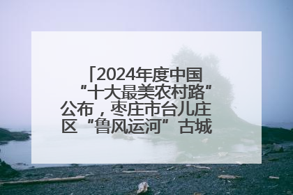 2024年度中国“十大最美农村路”公布，枣庄市台儿庄区“鲁风运河”古城文化廊道上榜！