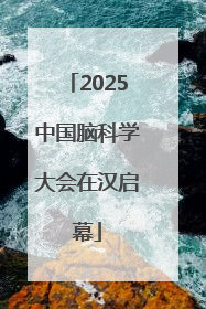 2025中国脑科学大会在汉启幕