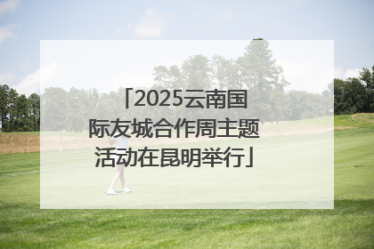 2025云南国际友城合作周主题活动在昆明举行
